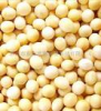 Soybean Powder Supplier