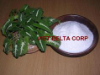 Desiccated Coconut Supplier