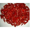 Red Chilly Exporter 