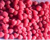 Red Raspberry Powder Suppliers